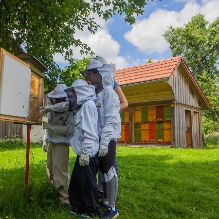 דירות Ribnica Beekeeping Kojek מראה חיצוני תמונה
