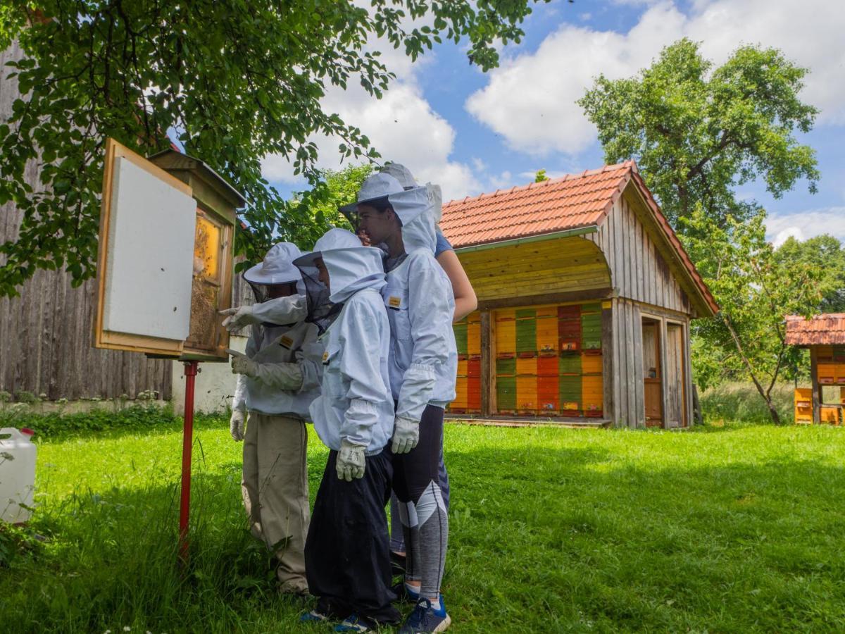 דירות Ribnica Beekeeping Kojek מראה חיצוני תמונה