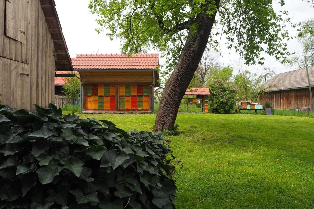 דירות Ribnica Beekeeping Kojek מראה חיצוני תמונה